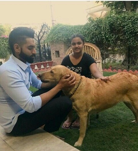 Parmish Verma loves dogs