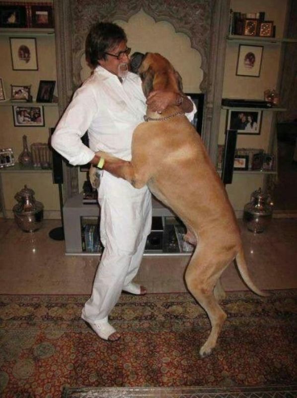 Amitabh Bachchan with his pet dog, Shanouk
