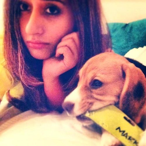 Natasha Dalal loves dogs