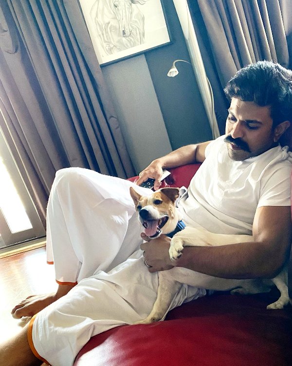 A photo of Ram Charan with his pet dog Brat