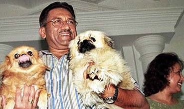 Pervez Musharraf with his pet dogs