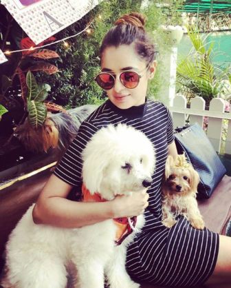 Yuvika Chaudhary with her Dogs