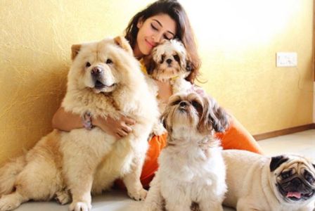 Sonarika Bhadoria with her dogs