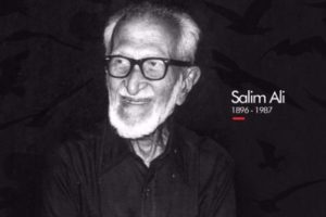 Salim Ali photo
