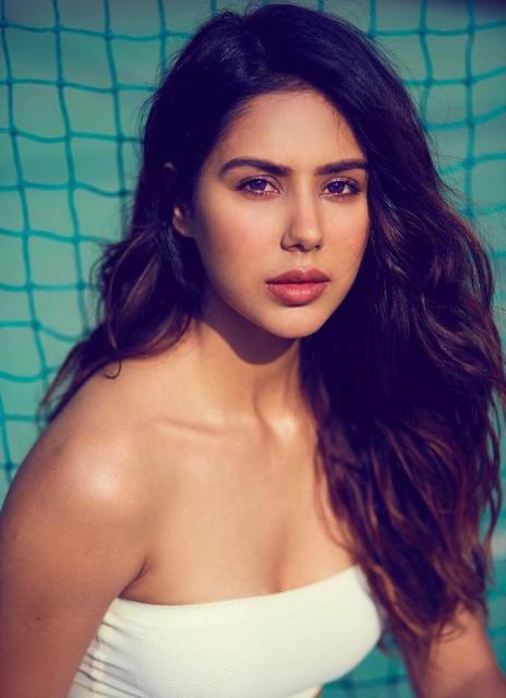 Sonam Bajwa Wiki Age Boyfriend Husband Family Biography