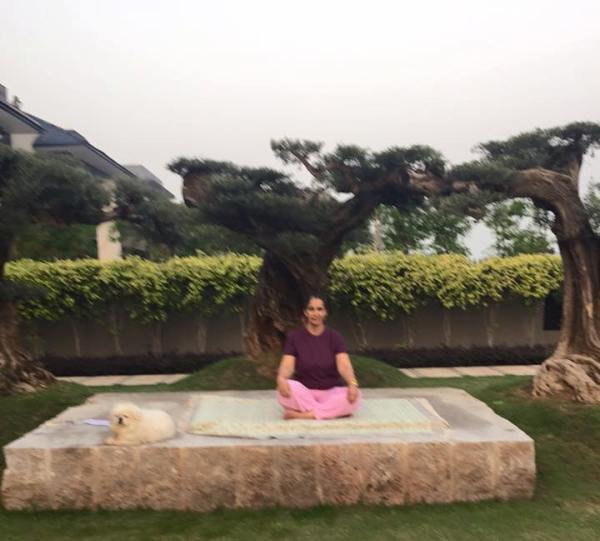 Navjot Kaur Sidhu doing yoga