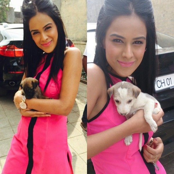 Nia Sharma with her pet dogs