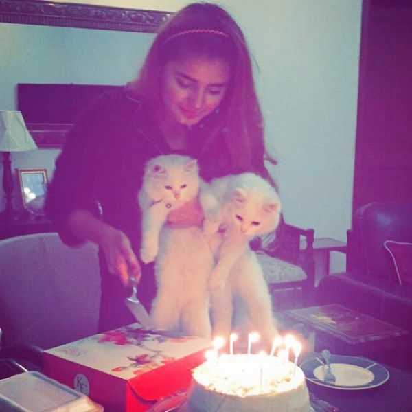 Momina Mustehsan loves cats