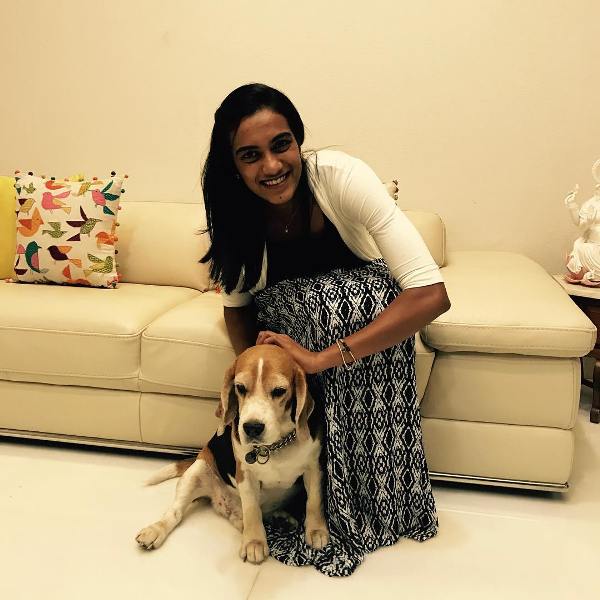PV Sindhu loves dogs