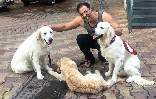 Vindu Dara Singh is fond of dogs
