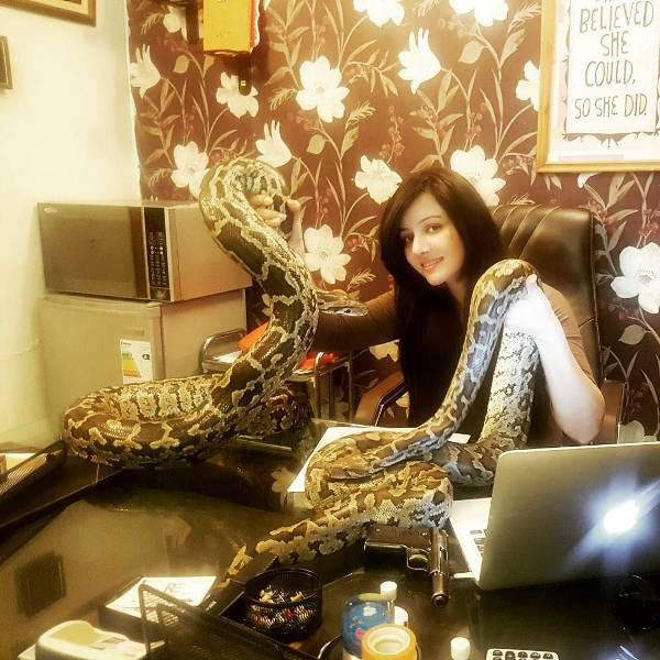 Rabi Pirzada with Her Pet Snake- Bhoolu and Tiger