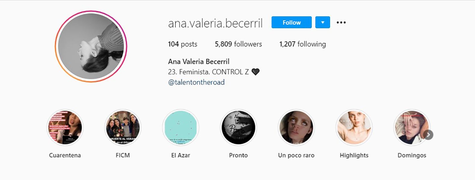 Instagram Bio of Ana Valeria Becerril Describing Herself as a Feminist