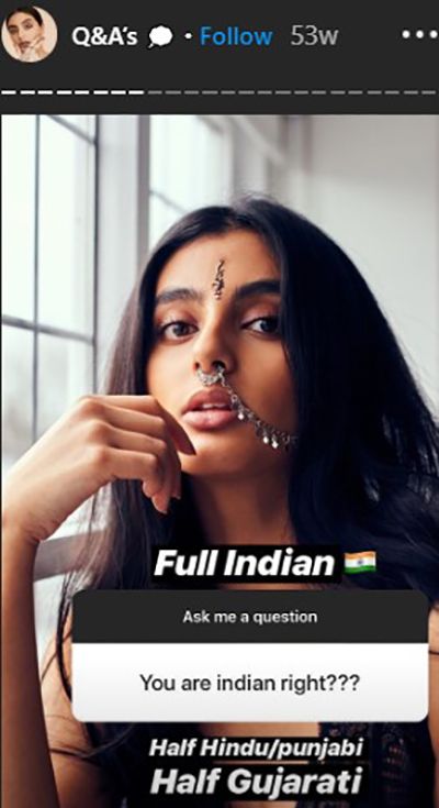 Nikita Chadha Talking About her Ethnicity in Instastory