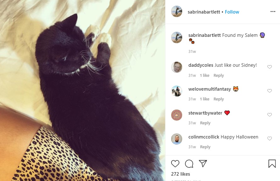 Sabrina Bartlett Talking about her Cat on her Instagram Account