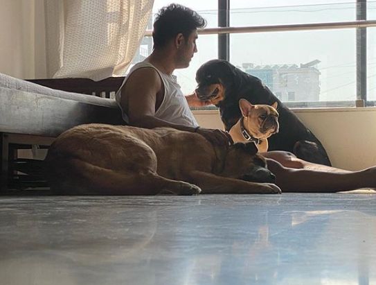 Amit Sadh and his pet dogs