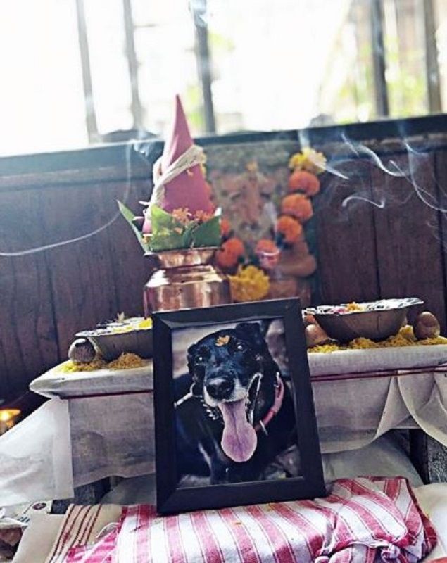 Kranti Prakash Jha's Dog Death Anniversary