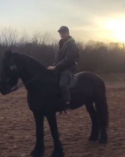 Josha Stradowski Riding Horse