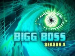 Bigg Boss Telugu 4 Voting Process (Online Poll), Contestants & Eviction