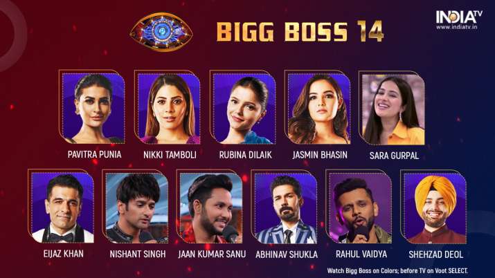 Bigg Boss 14 Contestantss