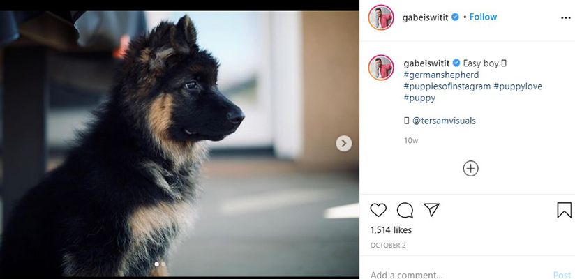 Gabriel Chavarria Talking About his Pet in an Instagram Post