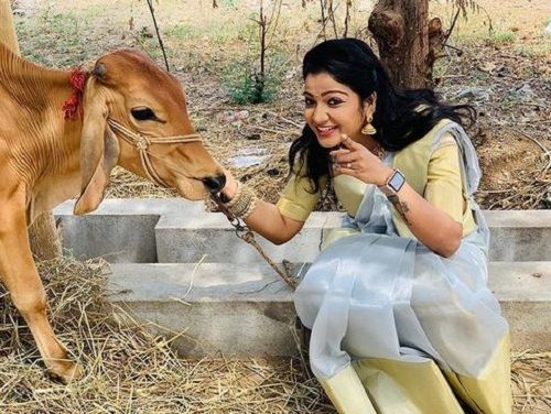 VJ Chitra with a Cow