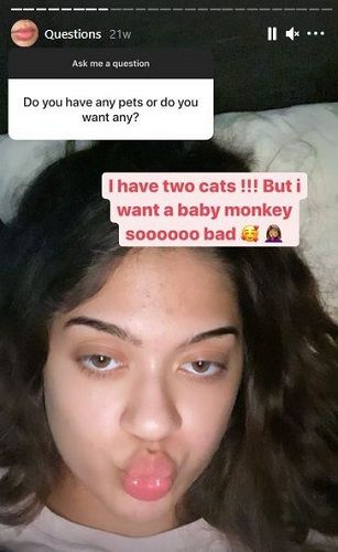 Dazhariaa Quint Noyes's Instagram status about pets