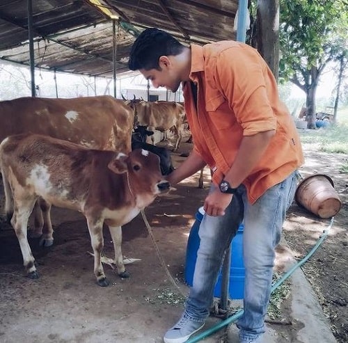 Sai Ketan Rao with cows