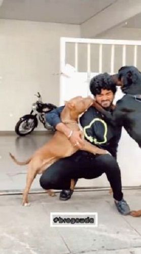 Shamanth Gowda with his pet dogs