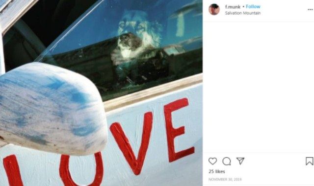 Fredrick Munk's Instagram Post on his dog