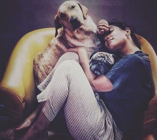 Priyanka Thimmesh and her pet dogs
