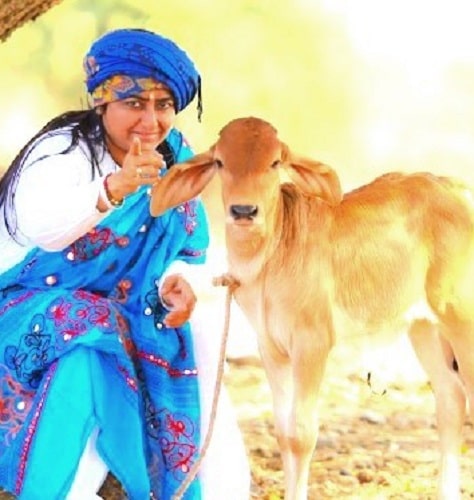Bharti Shri Ji with a calf