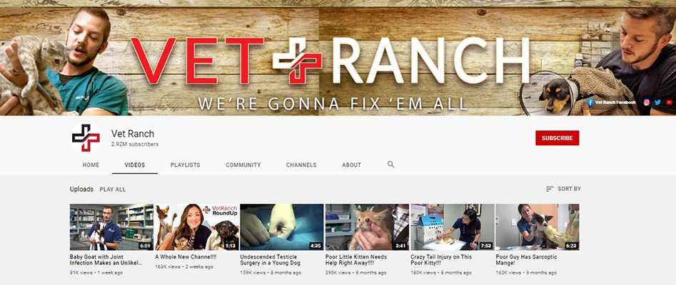 Vet Ranch - YouTube Channel