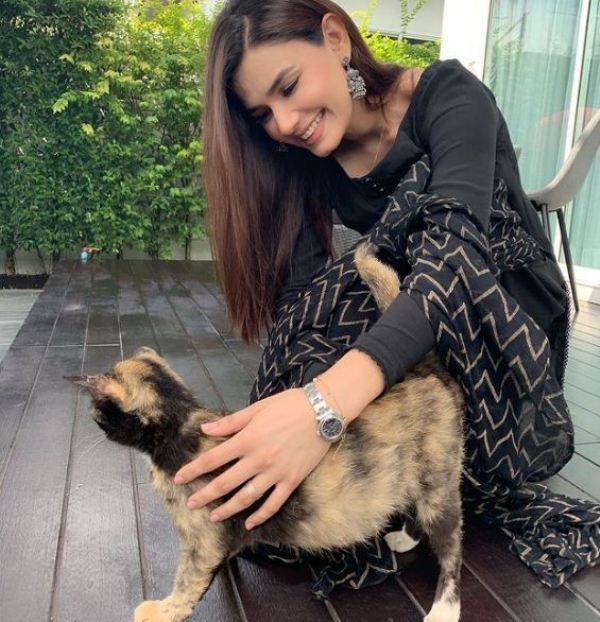 Kiran Haq playing with a cat