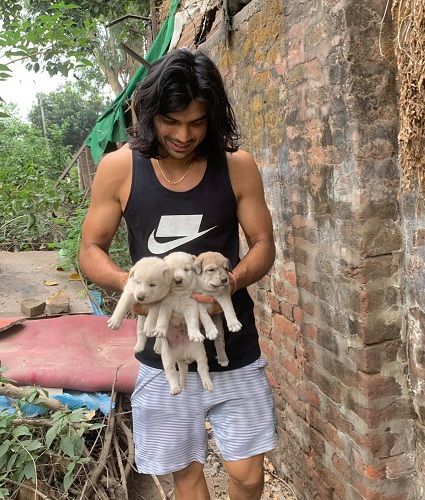 Neeraj Chopra holding puppies