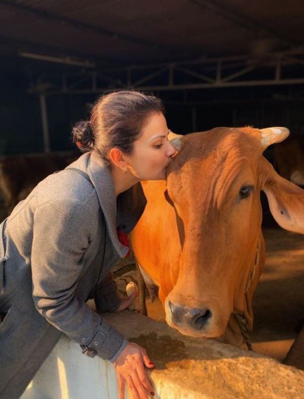 Vasudha Rai while kissing a cow