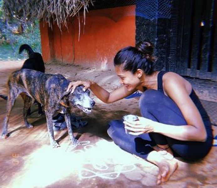 Sushrii playing with a dog