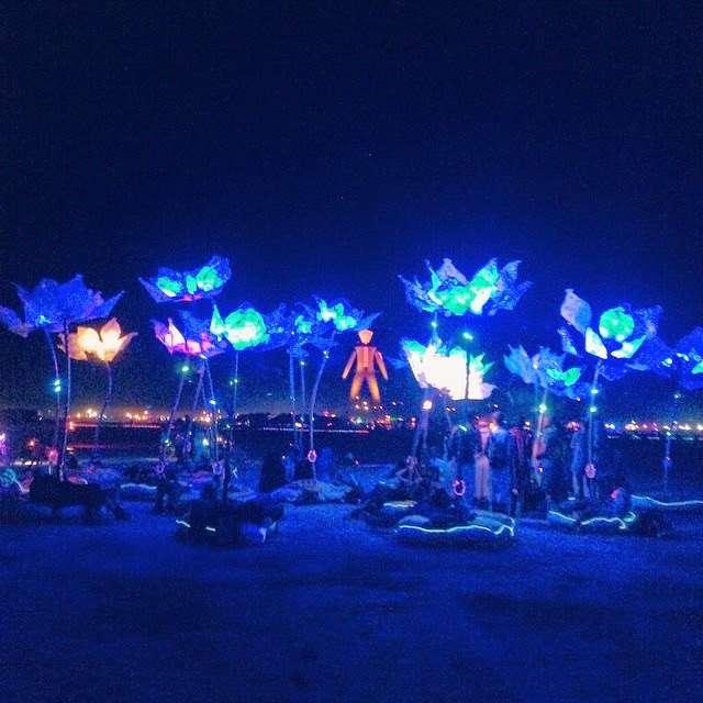 The 'Pulse and Bloom' project installed by Shilo Shiv Suleman at Burning Man Festival (2014)