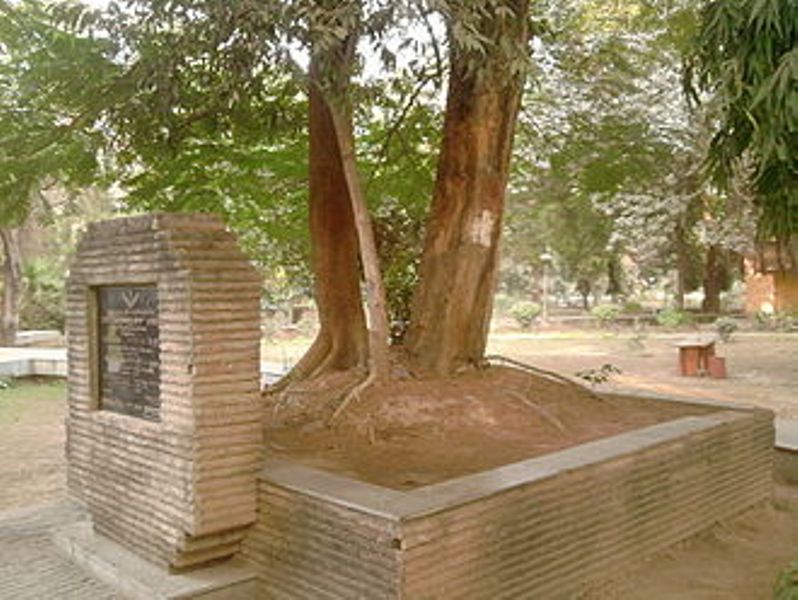 The tree at Alfred Park in Allahabad where Chandra Shekhar Azad died