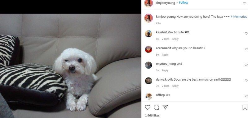 Kim Joo-ryeong talking about her pet in an Instagram post