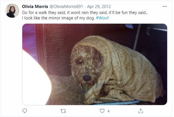 Olivia Morris' pet dog