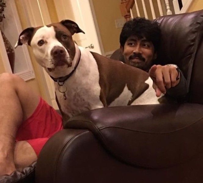 Karthik admiring his dog