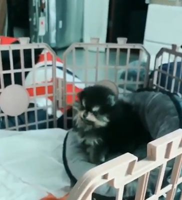 A snip from Yeontan's official introduction clip to the Army