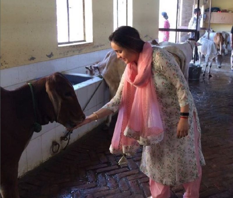 Aparna at a cow shelter