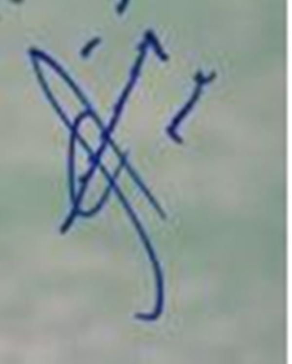 Syed Kirmani's signature