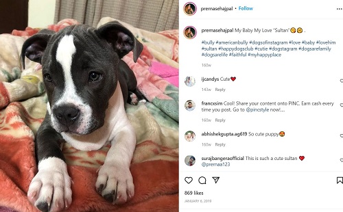 Prerna Sehajpal's Instagram post about her dog