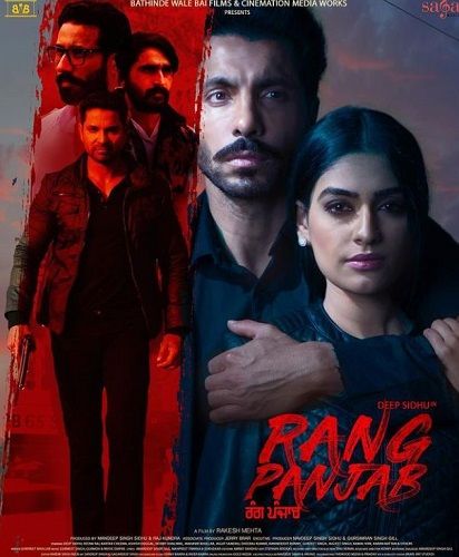 Rang Panjab film poster