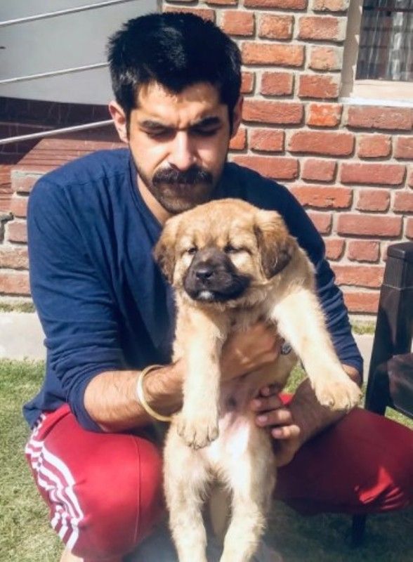 Surya Sharma with his pet dog Tiger