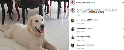 Chunky Panday's Instagram post about his dog
