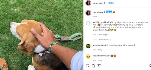 Nani's Instagram post about his dog
