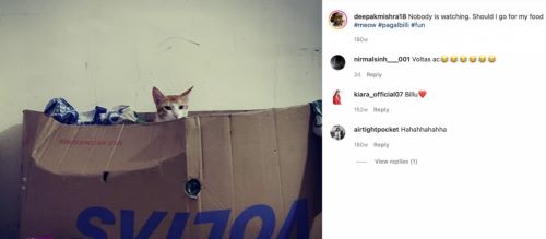 An Instagram post by Deepak Kumar Mishra about his pet cat
